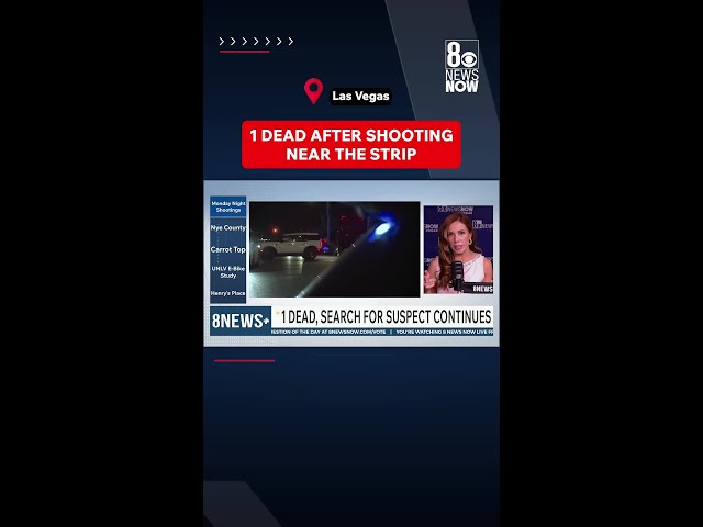 Deadly Shooting Near Las Vegas Strip
