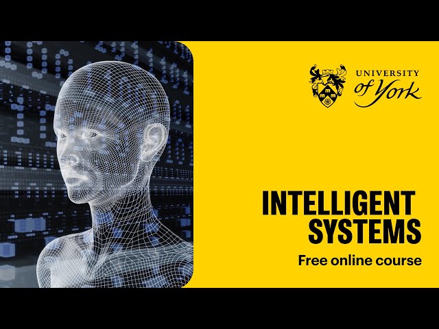 Intelligent systems (free online course)