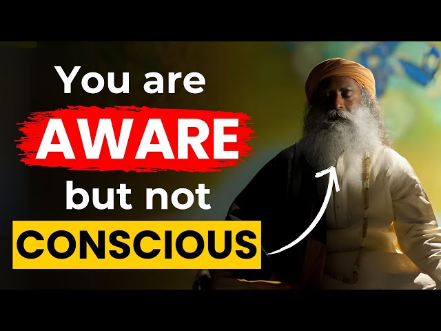 Sadhguru On Difference Between Awareness And Consciousness