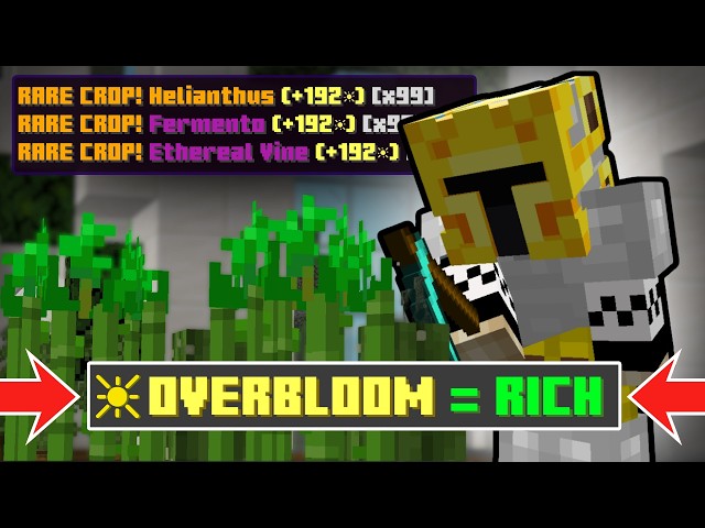 the most OVERPOWERED stat in hypixel skyblock...