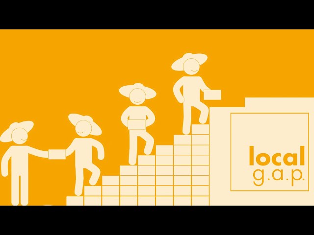 What is localg.a.p? - English