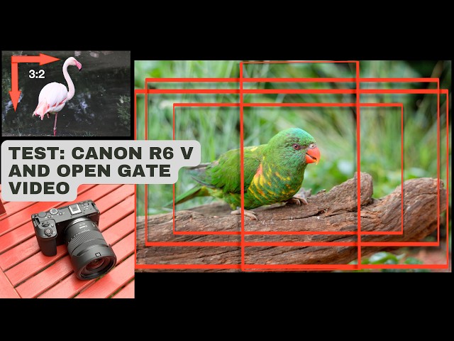 Canon R6 V: Open Gate Video Test – Why Recording with the Full Sensor Matters
