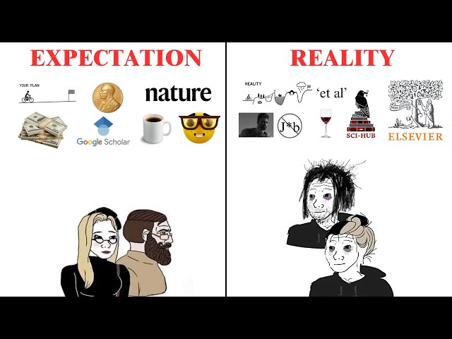 The Harsh Reality of doing a PHD