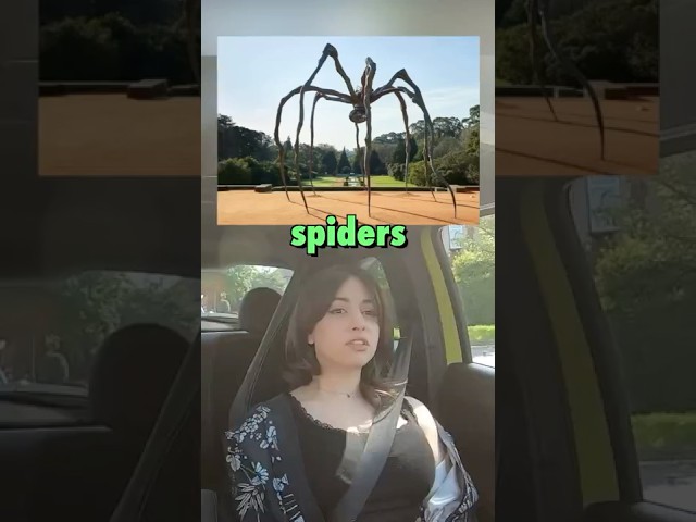BEWARE of These Australian Animals