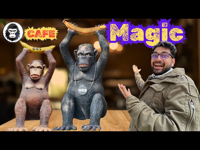 The Gorilla Problem That Changed My Cafe Forever ! #Ashwindange #2025 #magic #winwithashwin