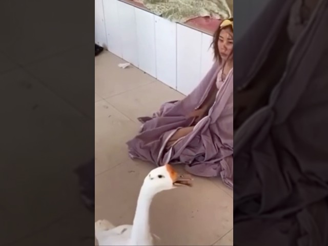 girl vs goose