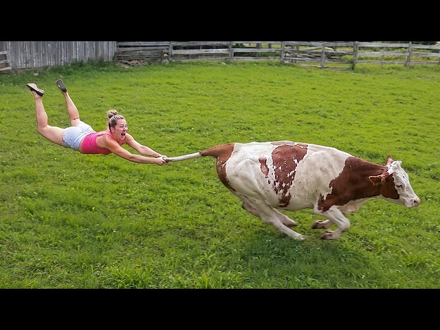 Best Farm Life Fails 🚜🐄 Farm Animal & Tractor Fails