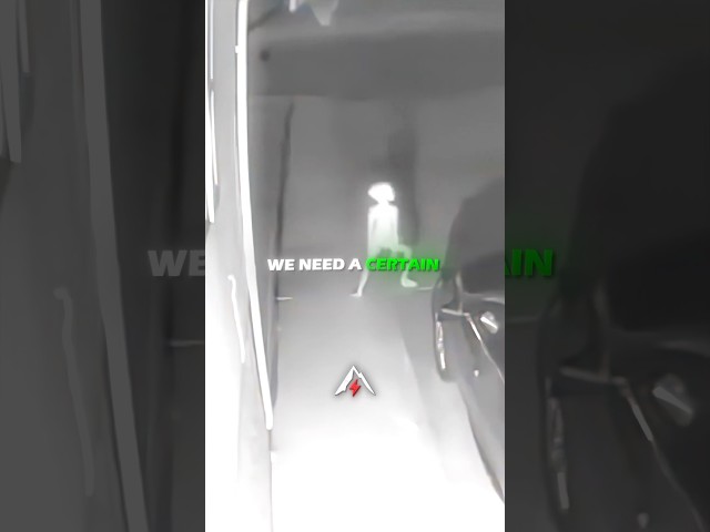 A Strange Creature Was Caught on Security Camera… But Nobody Knows What It Is 😳👽