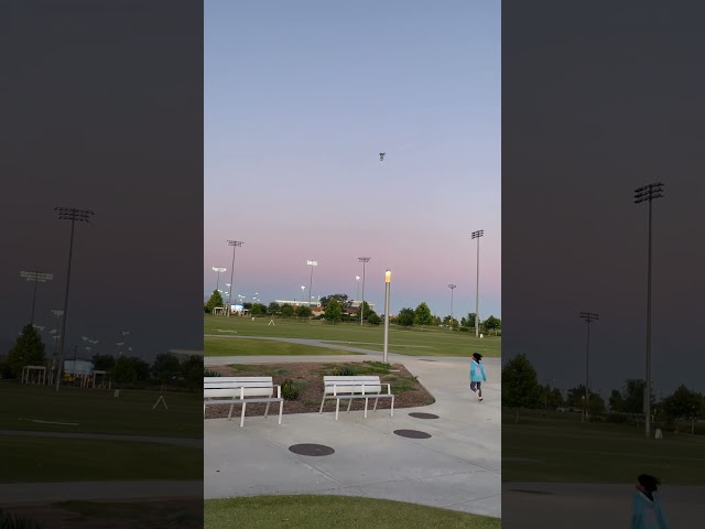 Mugman is flying! (Funny)