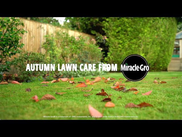 Miracle-Gro® Autumn Lawn Care | Stronger Roots for a Healthier Lawn Next Spring