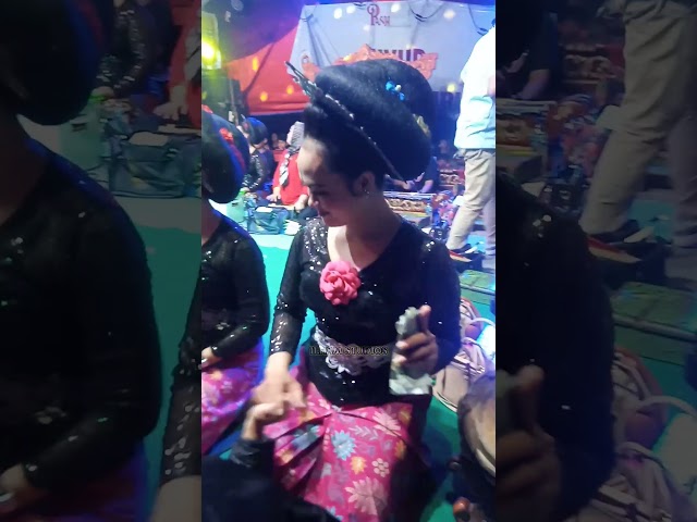PENARI PUTRA MANDIRI JAYA