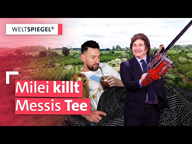 Argentiniens Kultgetränk in Gefahr: Wie Mileis Kettensäge den Mate-Tee bedroht | Weltspiegel