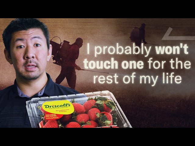 I Tracked Down the Company Ruining Fruit