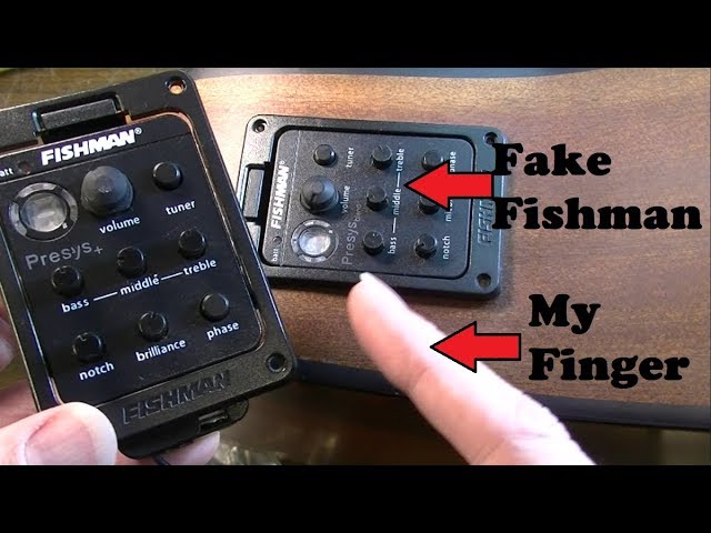 FAKE Fishman Preamps from Ebay Tried to Violate Me