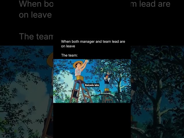 When the office finally breathesπ