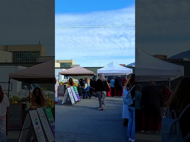 Summer in Kamloops 🍁Why Is This Walk So Peaceful? 🇨🇦 #kamloops  #farmersmarket #shorts