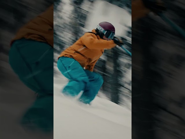 🔥 BLACK FRIDAY ALERT 🔥 The POWder Card is BACK!!!  #skiing #ski #explorebc #skiresort