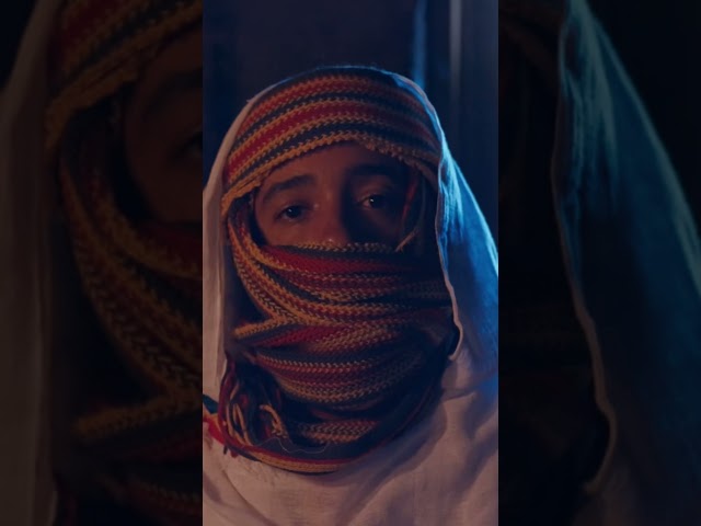 The Art Of Acceptance x April 17th x New PROTOJE album!