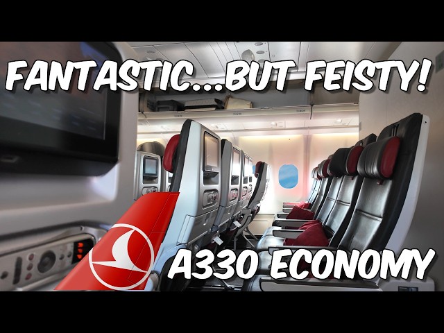 "Europe's" Best Airline? Turkish A330 ECONOMY Review
