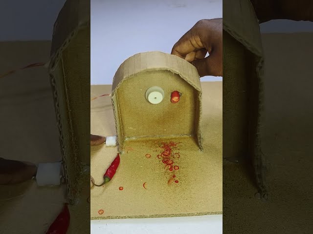 DIY Chilli Cutting Machine Project #chilimachine #youtubeshorts #diy #project #motor #shorts