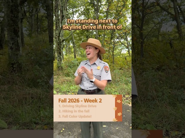 Fall Updates - October 1, 2026