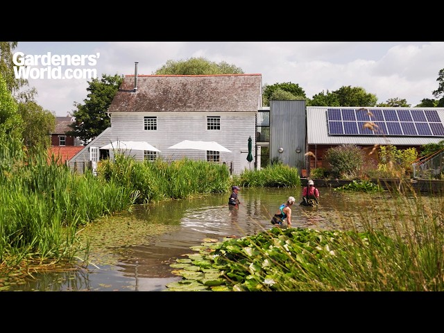 This Colchester cohousing project will change how you think about community living