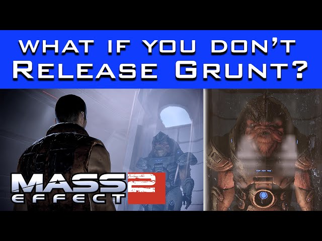 Mass Effect 2 - What Happens If You Don't Release Grunt from the Tank?