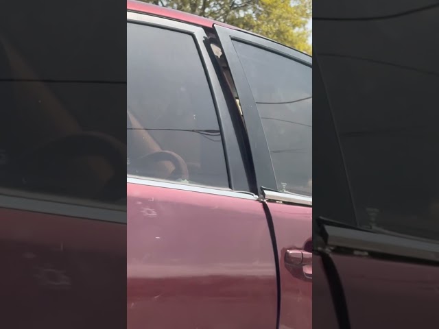 When you don’t want to roll the window down but still need fresh air #shorts #funny #cargames