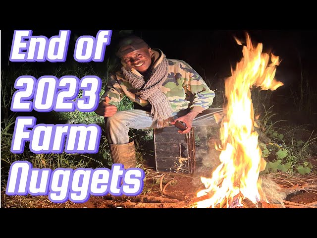 End of 2023 at the fireplace farm nuggets