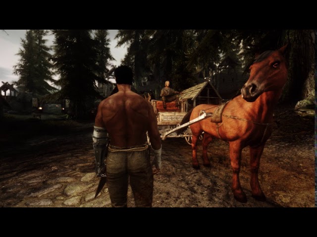 SKYRIM: SUPERMODDED (crash test) 2