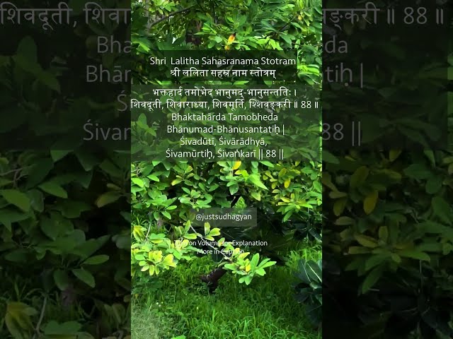 Shri Lalitha Sahasranamam Shloka 88 |  भक्तहार्द तमोभेद भानुमद्-भानुसन्ततिः  |Just Sudha Gyan