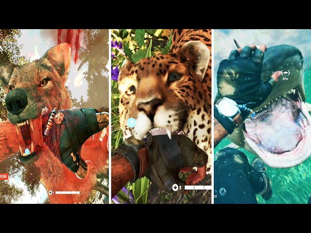 Far Cry 6 - All Wild Animals Attacks Animations PS5 2021