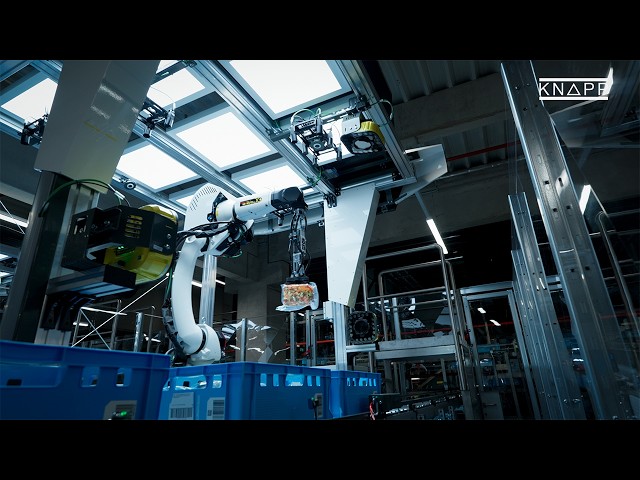 Wie EDEKA NORDfrische seine Frischelogistik mit KNAPP automatisiert – und auf KI und Robotik setzt
