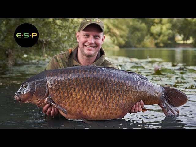 ESP - Kev Hewitt - Multiple PB's, a live forty and numerous other big fish!
