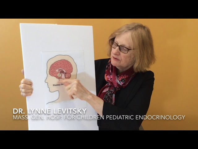 What is a growth hormone stimulation test?