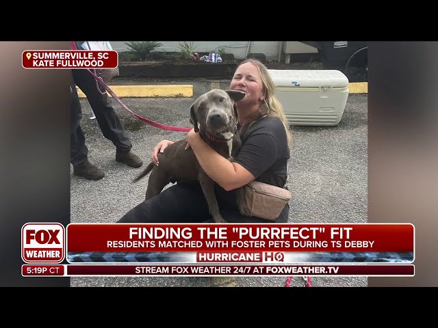 Hundreds Of Animals Evacuated Ahead Of Impacts From Tropical Storm Debby In South Carolina