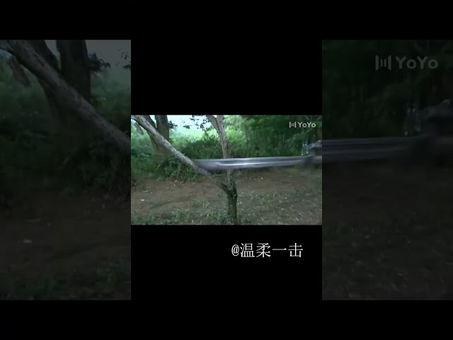 Kung Fu Kid Peerless Kung Fu Instant Kill 10 Enemies | 功夫小子絕世功夫秒殺10敵人 #shorts#Chinese Kung Fu#功夫