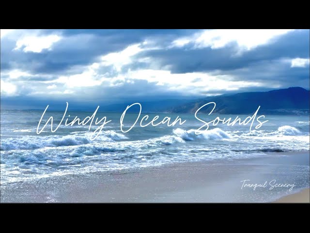 Pacific Ocean Windy Sounds 6Hours | Deep Sleep White Noise Sea Wave Sounds | California Beach Scenes
