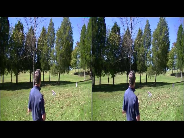 RC Blade MQX Quadcopter and Flyzone Nieuport 17 Flying in 3D Video