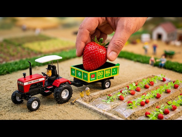 DIY Miniature Strawberry Farming Using RC Tractor 🍓 | Satisfying Farming Video | Dong Creator