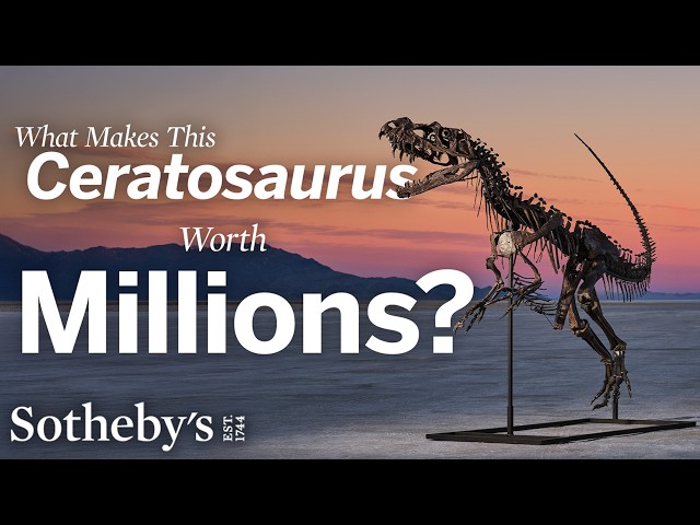 What Makes This Dinosaur Worth Millions? Meet the Juvenile Ceratosaurus | Geek Week at Sotheby’s