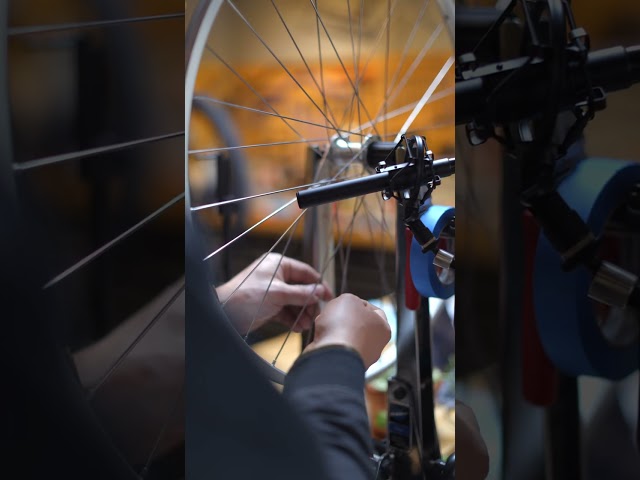 Among Pedals - Hologram Microcosm at Utility Bicycle Works