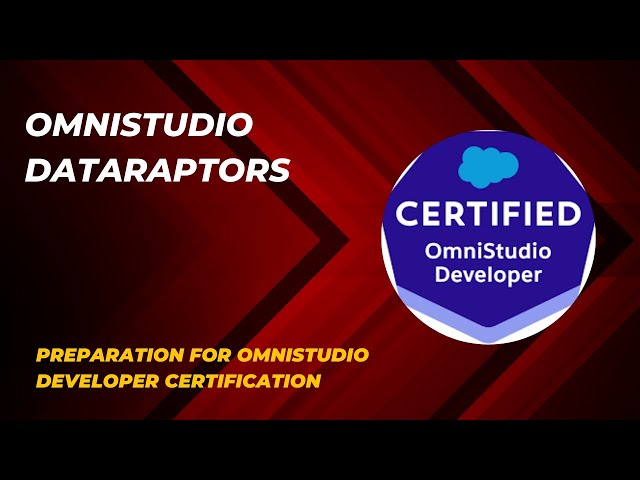 OmniStudio DataRaptors | Challenges 1 to 3