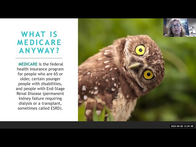 Medicare 101 in 2023