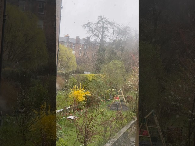 Live from EDINBURGH, Scotland 🏴󠁧󠁢󠁳󠁣󠁴󠁿 #shorts #viral #travel #snow #ytshorts