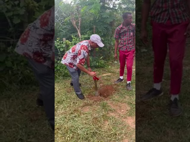 Planting of fruit trees at Abadina College School, University of Ibadan May 2023