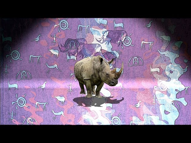 History of the Rhinoceros