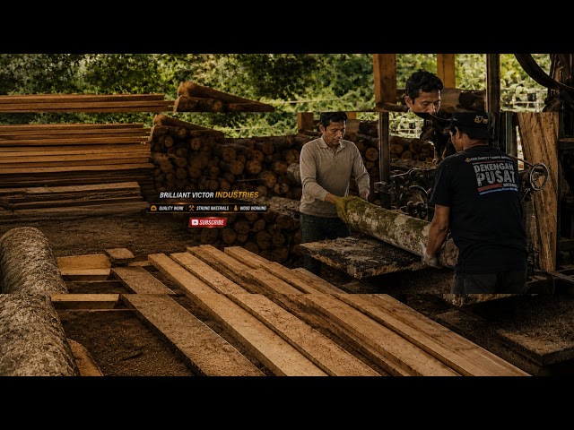 UNBELIEVABLE  Sawmill Machine Processing Rare Flat Thick Logs!