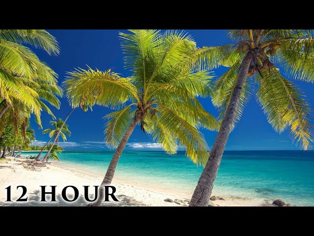 "Hidden Tropical Paradise" 12 HOUR Ambient Nature Film (No Loops) Outer Fiji Islands Pure Relaxation