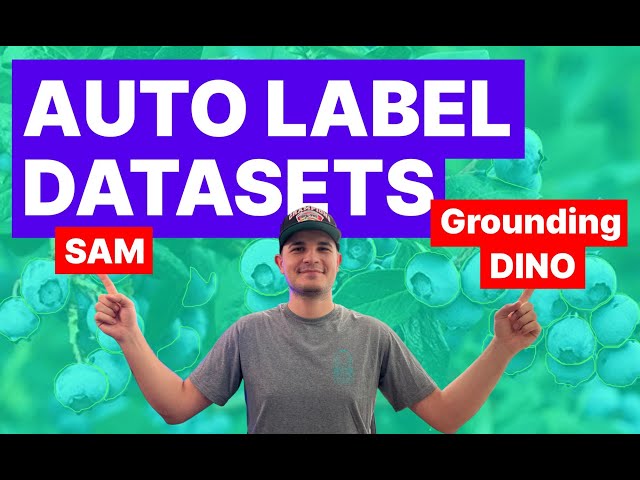 Accelerate Image Annotation with SAM and Grounding DINO | Python Tutorial